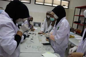 Praktikum Offline Matakuliah Kimia Dasar 2 “Redoks dan elektrokimia” Jurusan Tadris Kimia